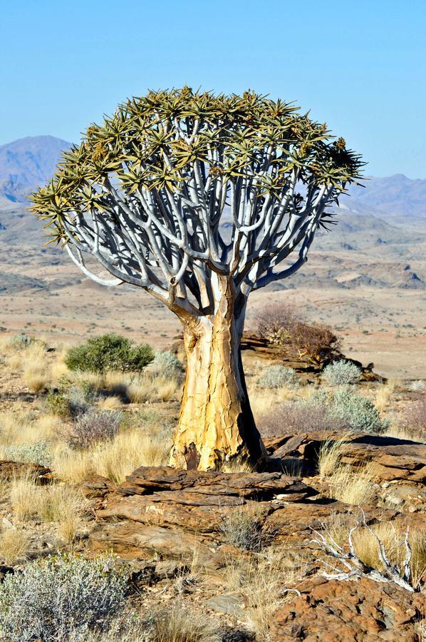 Namibs Valley Lodge Gamsberg Pass المظهر الخارجي الصورة