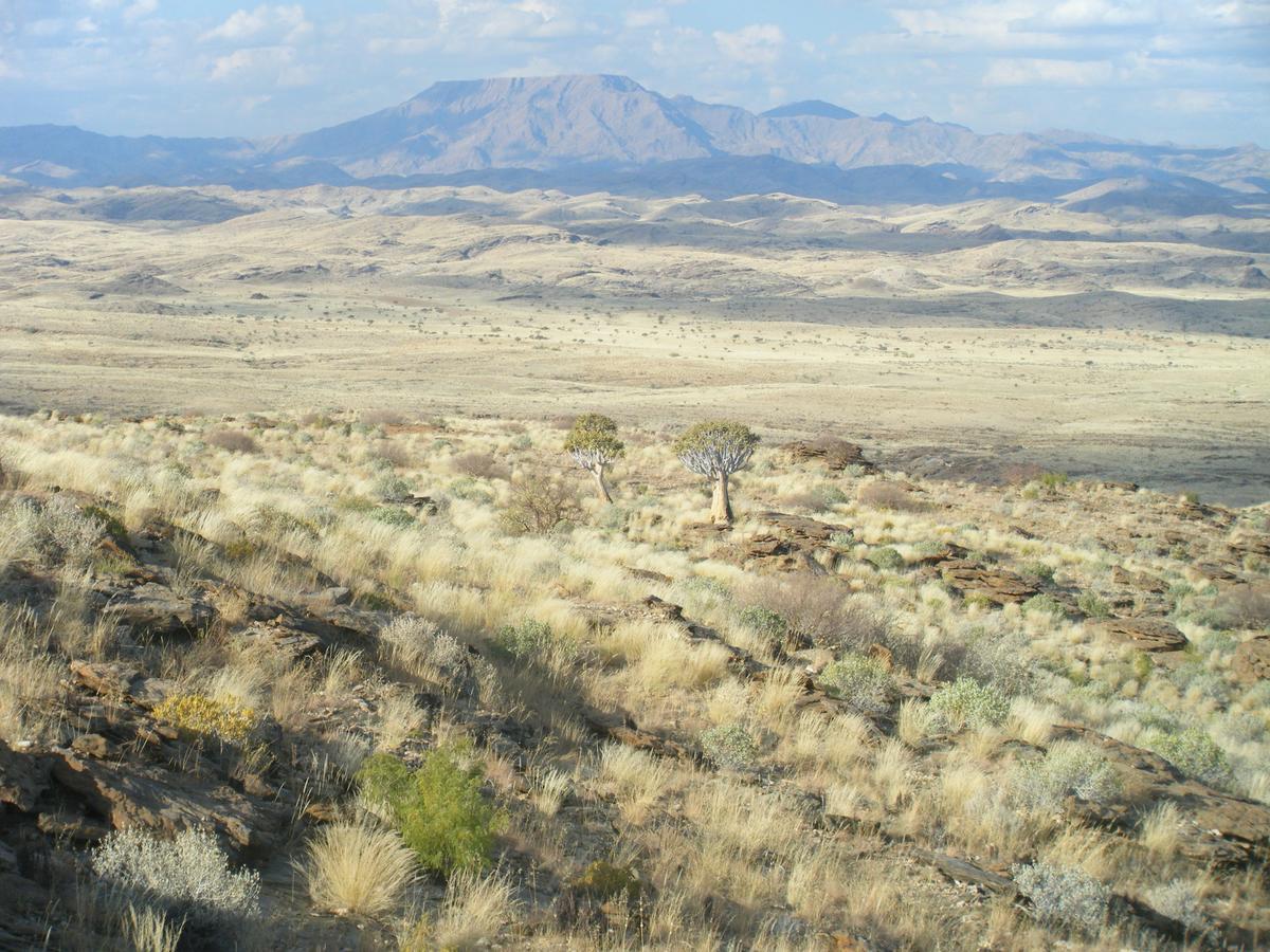 Namibs Valley Lodge Gamsberg Pass المظهر الخارجي الصورة