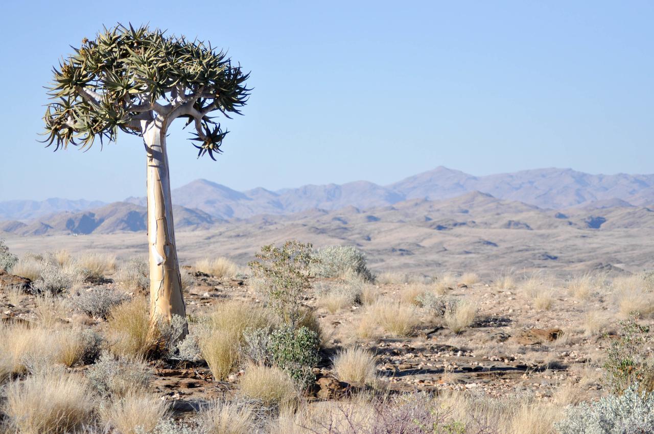 Namibs Valley Lodge Gamsberg Pass المظهر الخارجي الصورة